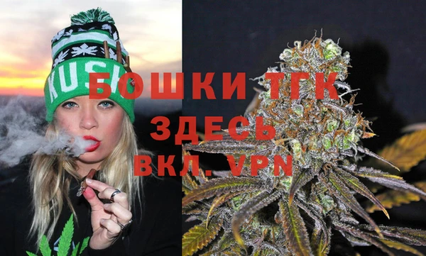 ПСИЛОЦИБИНОВЫЕ ГРИБЫ Иннополис