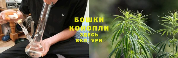 эйфоретик Ельня