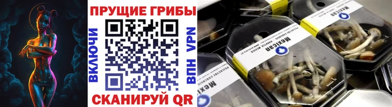 Псилоцибиновые грибы Psilocybe  Венёв 